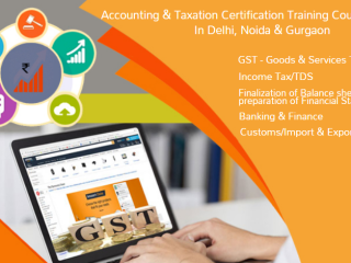 the-rise-of-remote-accounting-jobs-why-an-accounting-course-is-key-in-2025-100-job-gst-certification-course-in-delhi-by-sla